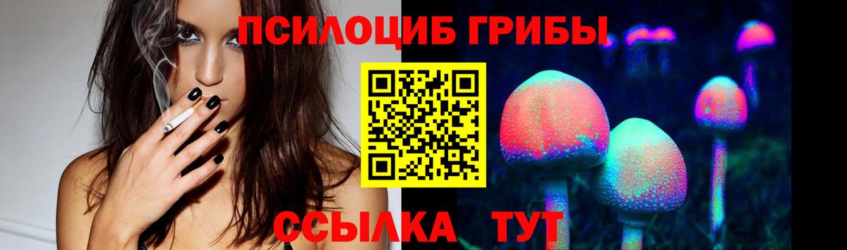 как найти   Галлюциногенные грибы мицелий  Вход с VPN  Щёлково  Галлюциногенные грибы GOLDEN TEACHER 